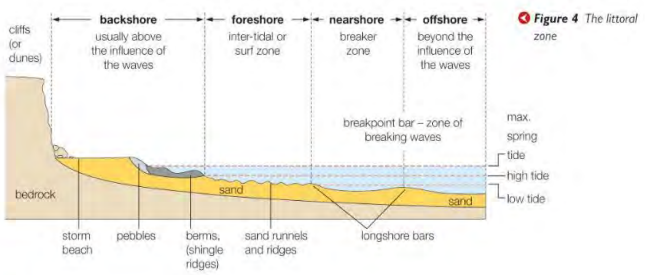 <p>The area of the coast where land is subject to wave action</p>
