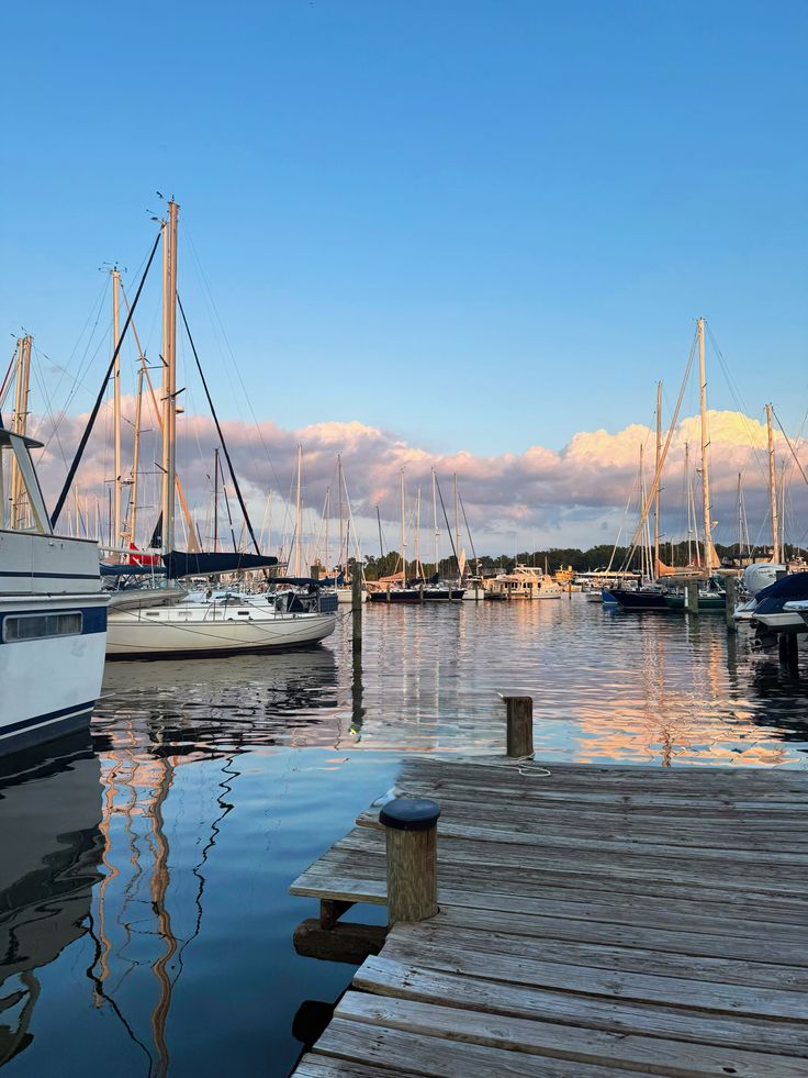 <p>The boats are sitting in the <strong>harbour</strong> all day.</p>