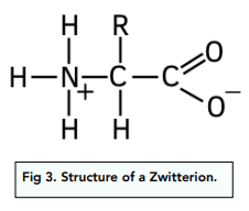 <p>explain how zwitterions are formed from an amino acid</p>