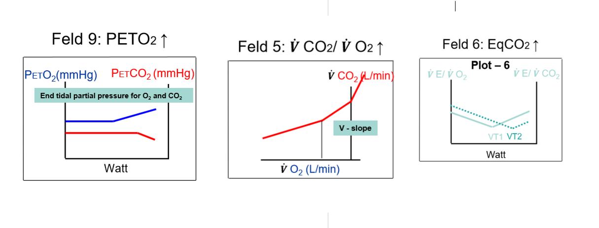 <p>VT1 über 40%, VCO2/VO2, Eq O2, PETO2</p>