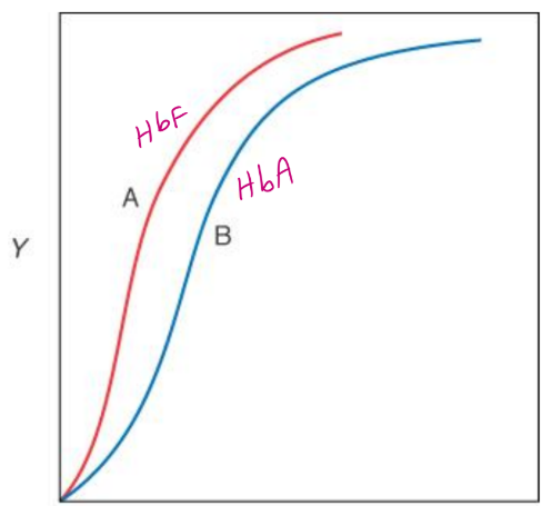 <p>HbF has a higher</p><p>affinity for O2</p><p>than HbA</p>