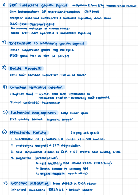 <p>1) self-sufficient growth hormone (RAS- rat sarcoma gene)</p><p>2) uninhibited (lack P53 gene)</p><p>3) unlimited replicative potential (telomerase)</p><p>4)  evade apoptosis (don’t sacrifice self)</p><p>5) sustained angiogenesis (no P53 to reg)</p><p>6) malignant capability</p><p>7) genomic instability (DNA mutations)</p>
