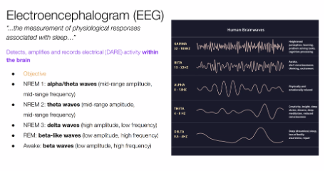 <p><span style="font-family: Aptos, sans-serif;">device that detects, amplifies and records electrical activity of the brain.&nbsp;Neurons communication is shown through electrical impulses (detected by EEG as brain waves).<strong>&nbsp;</strong>To take readings, researcher attached electrodes to the outside of a person's head.&nbsp;</span></p>
