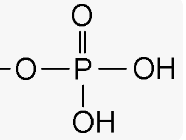 <p>7 functional groups in biology 6)</p>