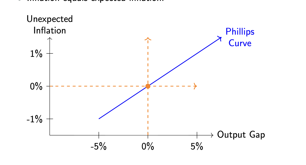 <ul><li><p>absence of demand-pull inflation</p></li><li><p>inflation equals unexpected inflation </p></li></ul><p></p>