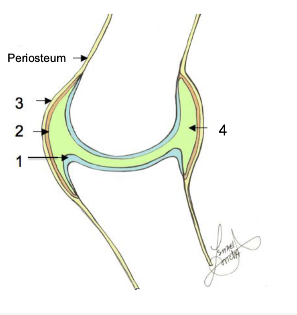 <p>What is 1</p>