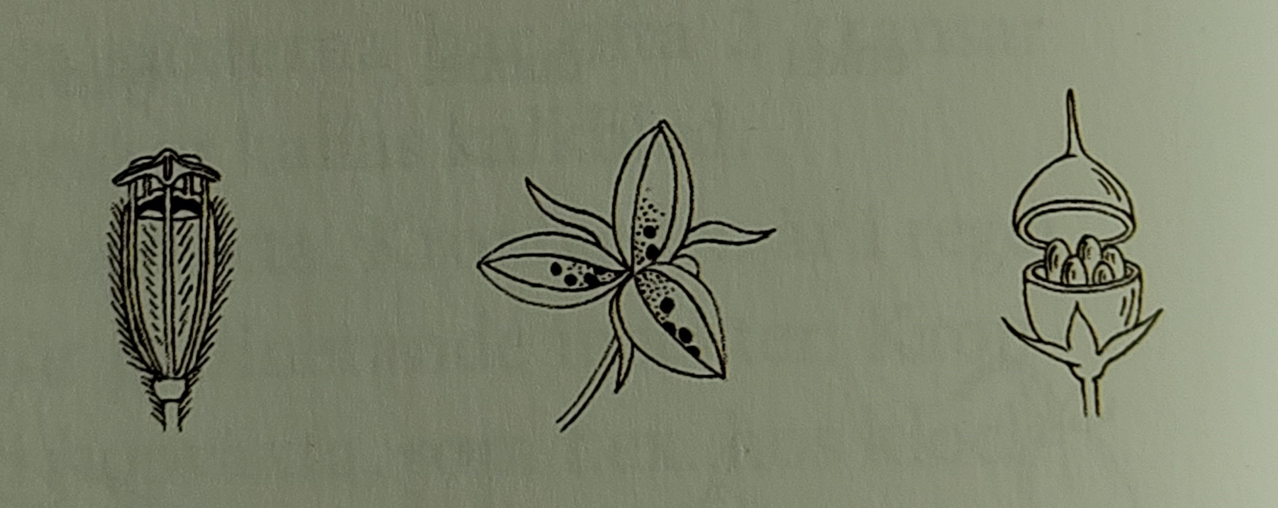 <p></p>