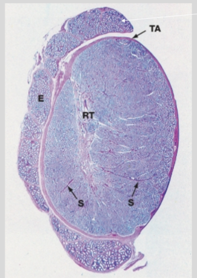 <p>What is this?</p>