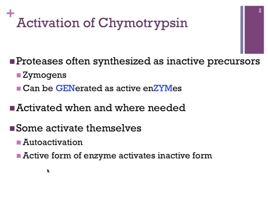 <p>We find that chymotrypsin is a good example of proteases that are synthesized as inactive precursors (Clarification: Chymotrypsin is made by the body in an inactive form first, and only later is it converted into the active enzyme. Why make it inactive? Chymotrypsin is a protease, meaning it cuts peptide bonds in proteins. If it were active immediately after being synthesized in the pancreas, it could start digesting the pancreas’s own proteins and damage the tissue. To prevent this, the enzyme is produced as in inactive precursor, called a zymogen [or proenzyme]. Specific example: The inactive precursor is: Chymotrypsin => (activation) => Chymotrypsin). </p><p>In other words, as it’s synthesized off the ribosome, it is inactive and requires to become activated as an enzyme. These are called <strong>zymogens </strong>(Chat: Zymogens, also called proenzymes, are inactive forms of enzymes) because they CAN be generated as active enzymes (?). AKA they are activated only when and where they are needed. Some activate themselves (autoactivation); active form of the enzyme converts an inactive to an active form. </p>