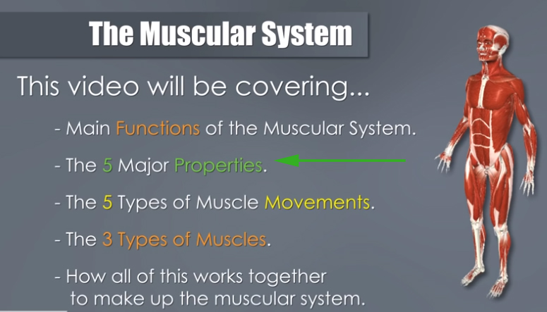 <p><span>Which of these is NOT one of the 5 major properties?</span></p>