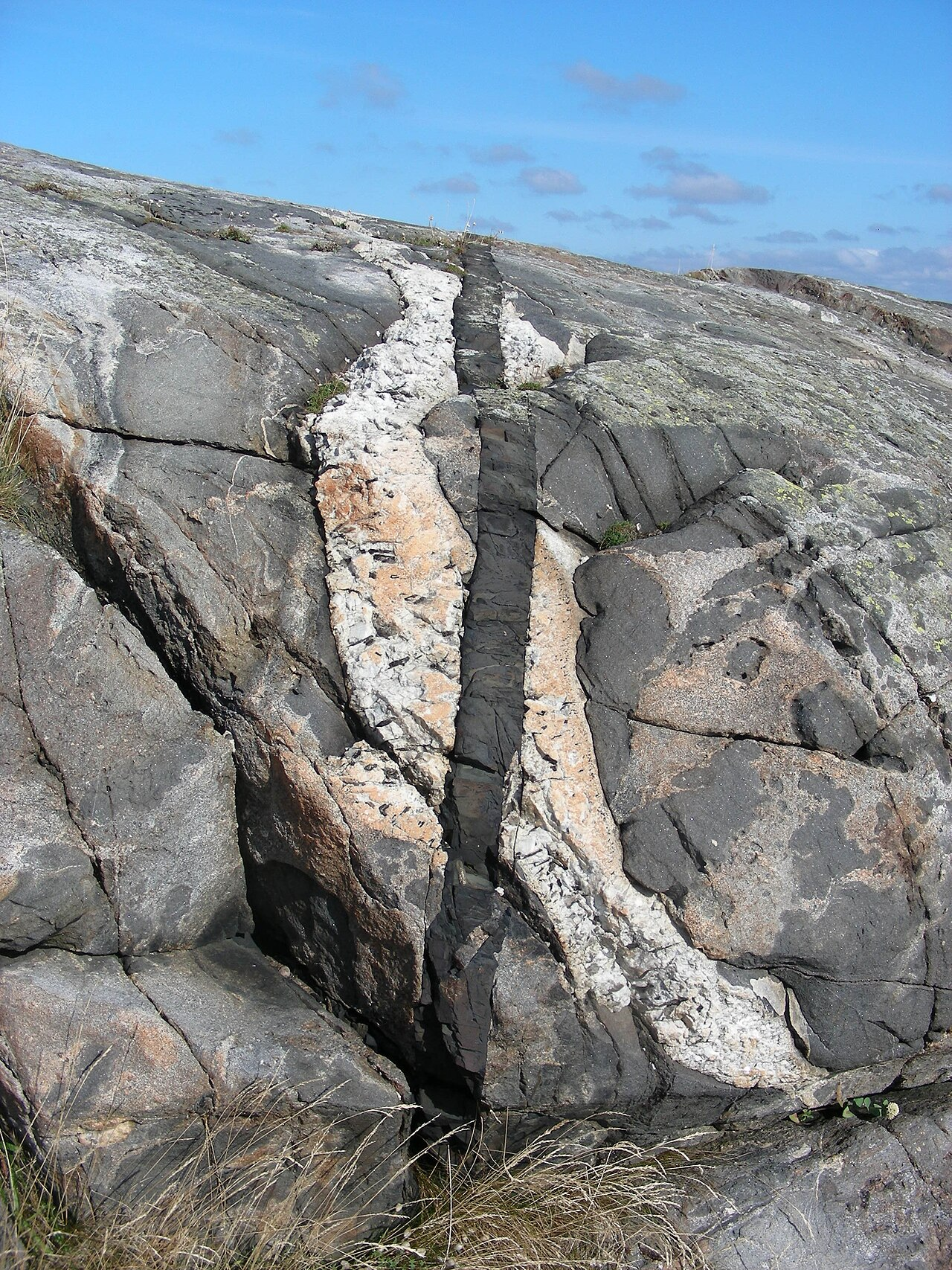 <p>What forms cross-cutting relationships?</p>