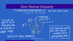 <p>How to find points with zero retinal disparity?</p>