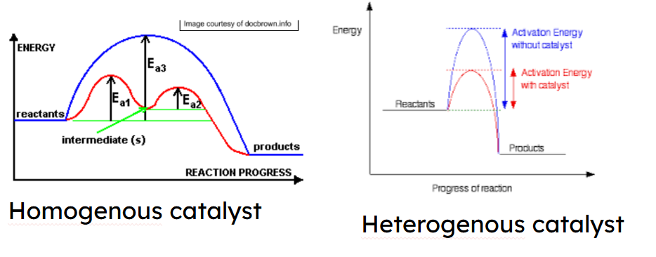 <p>catalysts lower the activation energy of a reaction by providing an alternative reaction route</p><p>heterogenous catalysts are catalysts that are ina different state/phase to the species in the reaction, homogenous catalysts are the same state and an intermediate that is less stable and higher energy is formed and then used</p><p><strong>how they work:</strong></p><ol><li><p>reactants are adsorbed(sticks to surface, not absorb) onto the surface of the catalyst active site</p></li><li><p>the active sites increase the proximity of molecules and weaken the covalent bonds in the molecules to allow reactions to occure more easily and reduce the activation enregy required, leading to a faster rate of reaction so new bonds can form</p></li><li><p>products then desorb from the catalyst surface</p></li></ol><p><strong>catalyst poisoning:</strong></p><p>molecules e.g carbon monoxide irreversibly bond all around the catalyst so reactants cannot adsorb onto the surface<br>solutions- replace the catalyst but this is expensive and wasteful, react the catalyst in substances to remove poison but this is usually toxic, so the most common method is to mechanically remove a layer of catalyst and the poison</p>