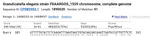 <p><span style="background-color: transparent;"><strong>Is this match evidence of HGT of our CRISPR array from yogurt into another species&nbsp;</strong></span></p><p><span style="background-color: transparent;">a. Yes&nbsp;</span></p><p><span style="background-color: transparent;">b. No&nbsp;</span></p><p><span style="background-color: transparent;">(Lecture #9-10 Questions)</span></p>