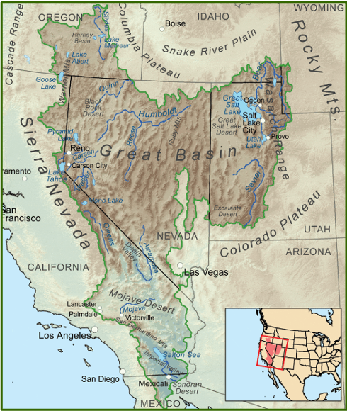 <p>It occurs when water in a drainage basin. does not reach the ocean and instead disappears through evaporation or infiltration before reaching the sea. </p><p>It is common in very dry areas like Nevada</p>
