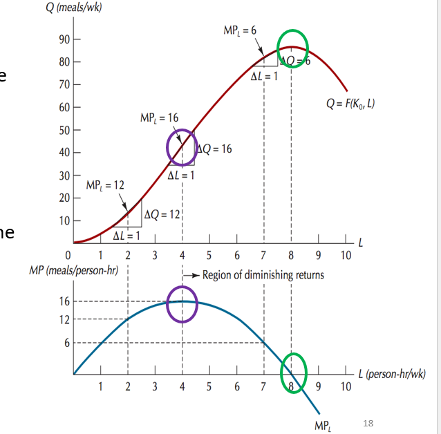 <p>AP + MP relationship</p>