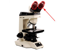 <p>Lens that the viewer looks through. Contains a lens that magnifies about 10x</p>