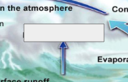 <p>The Water Cycle: Name this step</p>