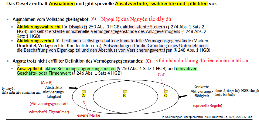 <p>Warum befindet sich der derivative Geschäfts-oder Firmenwert (GoF) im Kreis C des Diagramms?</p>