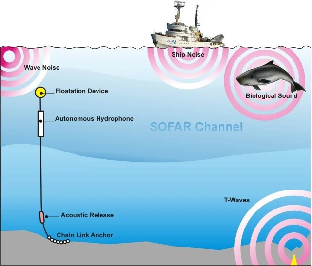 <p>A <strong>hydrophone</strong>.</p>