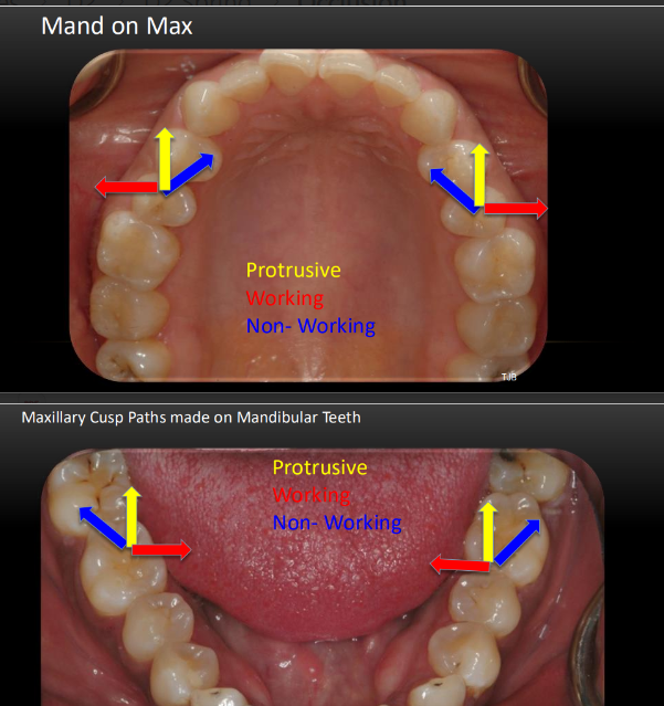 knowt flashcard image