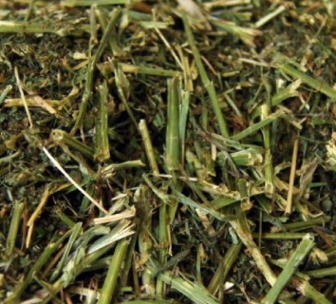 <p>alfalfa chaff</p>