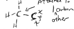 <p>a carbon bonded to only one other carbon</p>