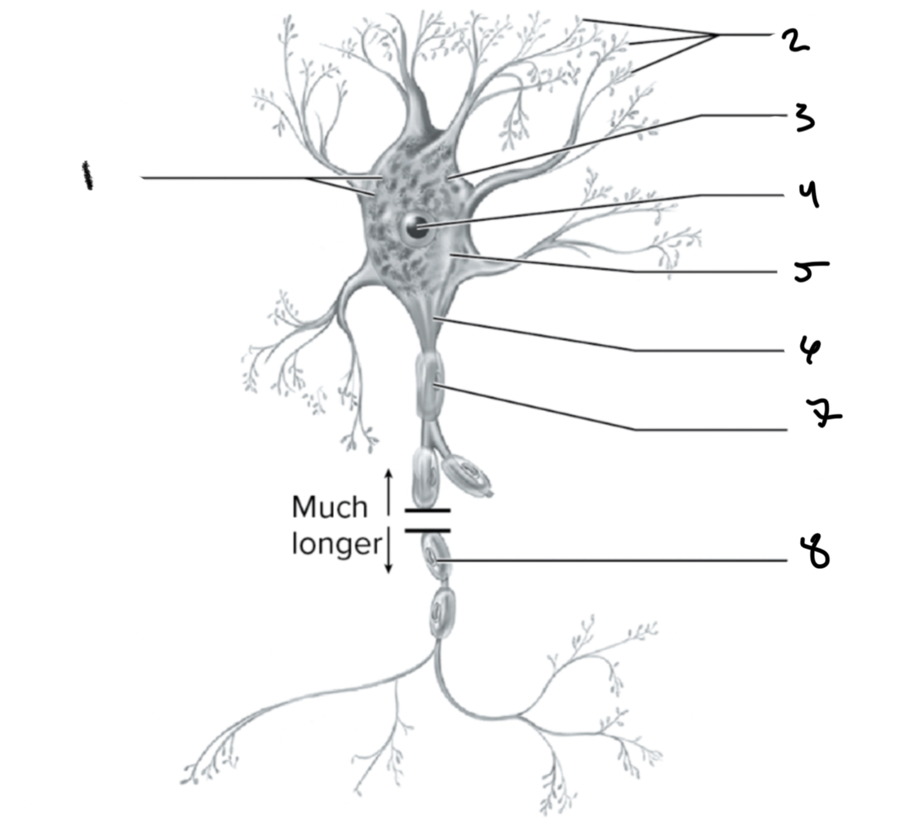 <p>1.XX</p><p>2.XX</p><p>3.XX</p><p>4.XX</p><p>5.XX</p><p>6.XX</p><p>7.XX</p><p>8.XX</p>