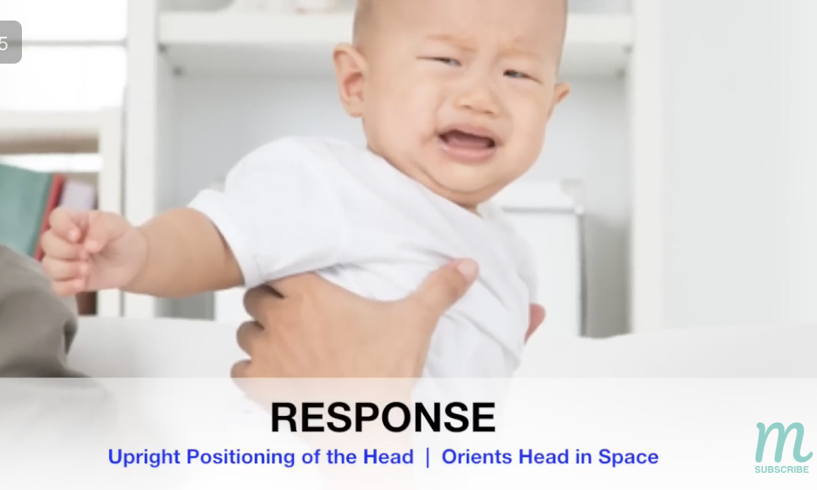 <p>test: hold baby suspended vertically and slowly tilt off-center by moving it side-to-side/forward-backwards; result: upright positioning of the head + orienting the head in space</p><ul><li><p>importance: what allows us to correct the orientation of our head in space (i.e., alignment of the head vertically + in the upright position) </p></li><li><p>onset: birth-2 months</p></li><li><p>integration: persists</p></li></ul><p>*called “optical” head righting, as the baby is using its “VISUAL” system to mediate</p>