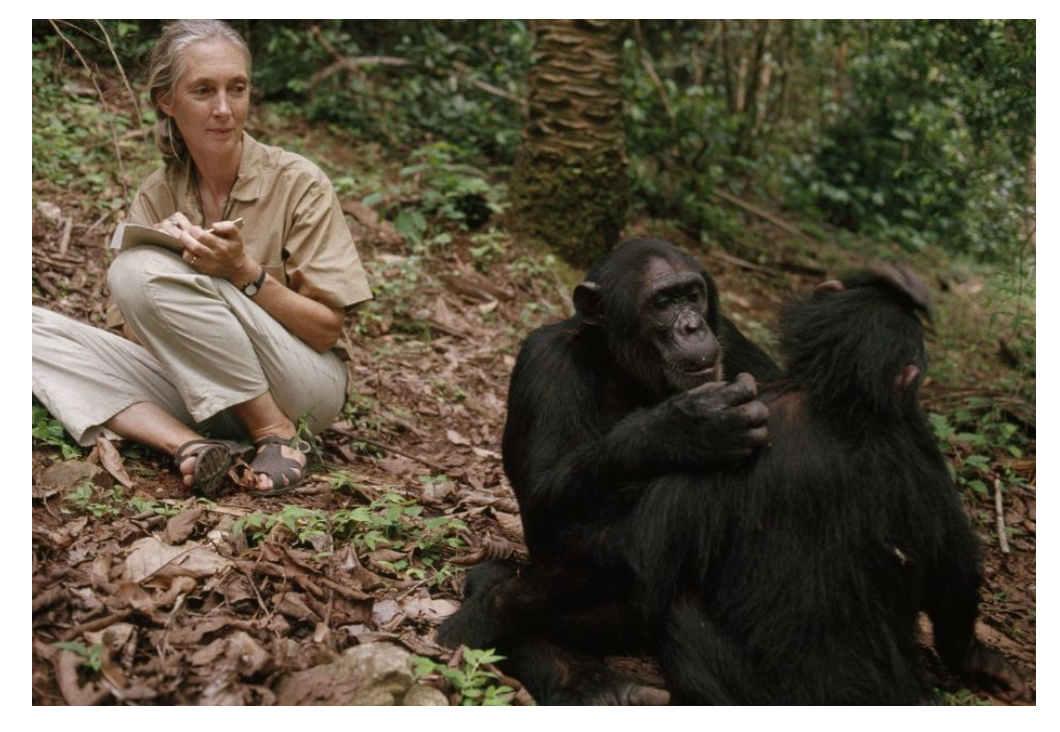 <p>• Behavioral biologists ask ? and ?</p><p class="p1"><strong>__</strong>: describe the behavior of non-human animals in their natural habitat:</p><p class="p2"><span data-name="arrow_right_hook" data-type="emoji">↪</span> Data are gathered by __ and experiments</p><p class="p2"><span data-name="arrow_right_hook" data-type="emoji">↪</span> __ are measurable entities like anatomical or physiological traits</p><p class="p2">Dame Jane Morris Goodall is an English zoologist, primatologist and anthropologist. She is considered the world's foremost expert on __, after 60 years' studying the social and family interactions of ?.</p>