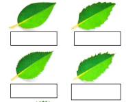<p>1</p>