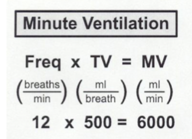 <p>The total amount of air moved into and out of the lungs per minute</p>