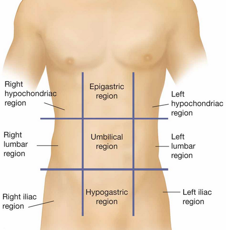 <p>the navel, center of abdomen</p>