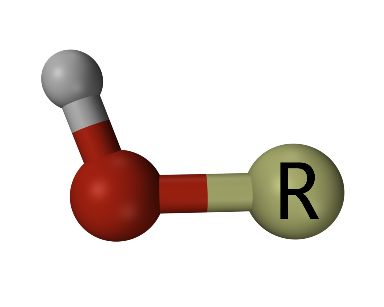 <p>An –OH group.</p>