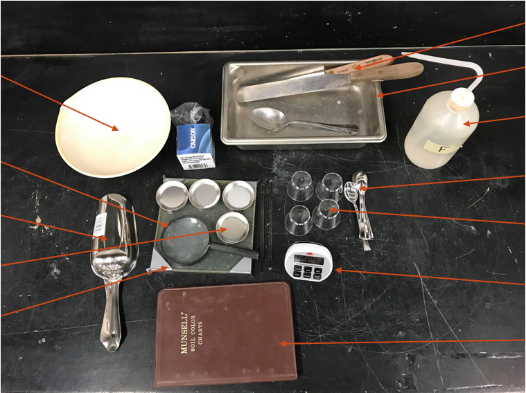 <p>Visual Classification</p>