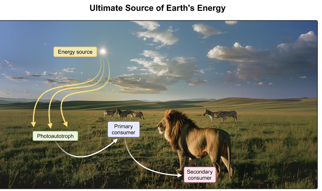 <p>light energy from sun </p>