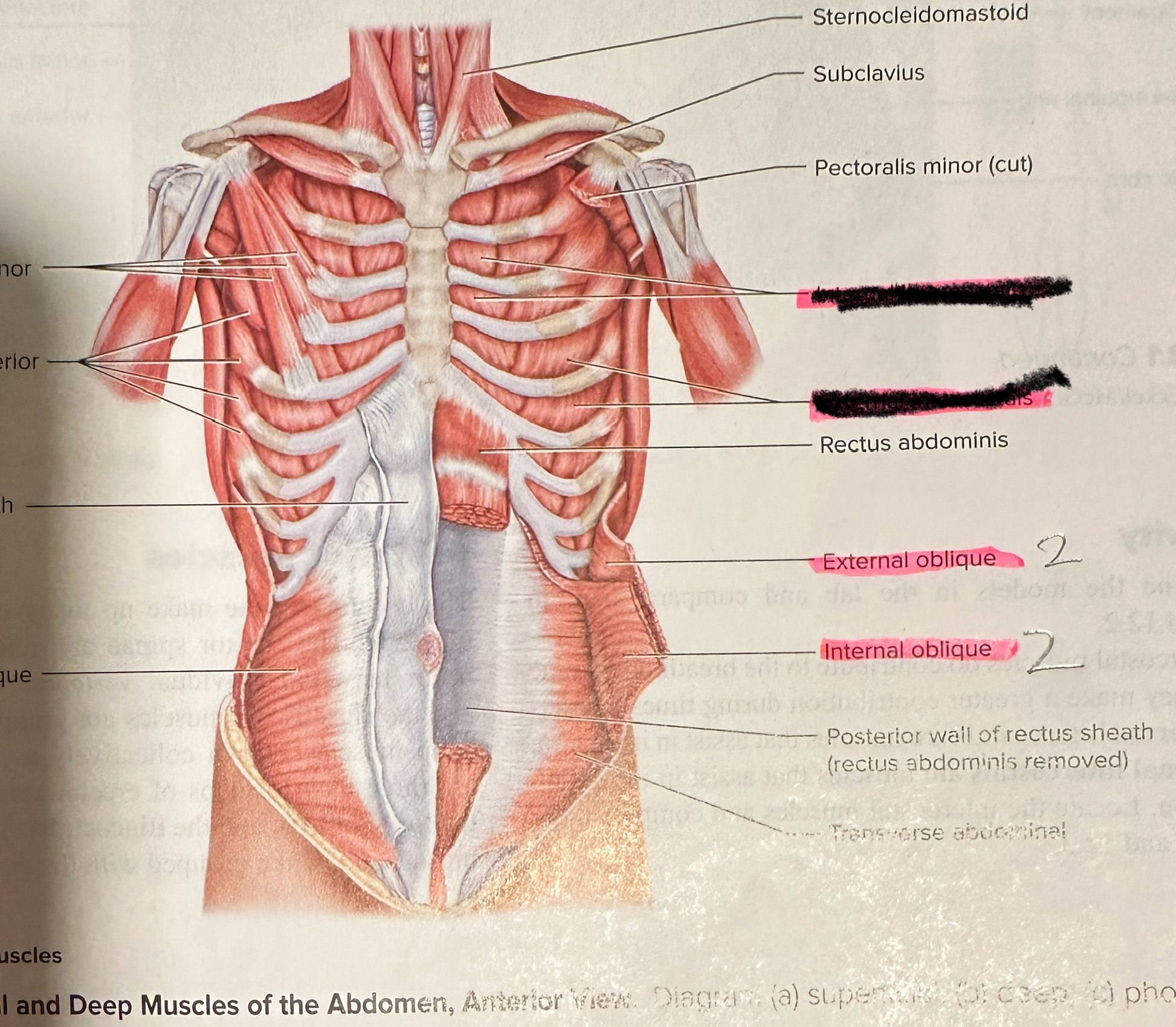 <p>Location crossed out</p>