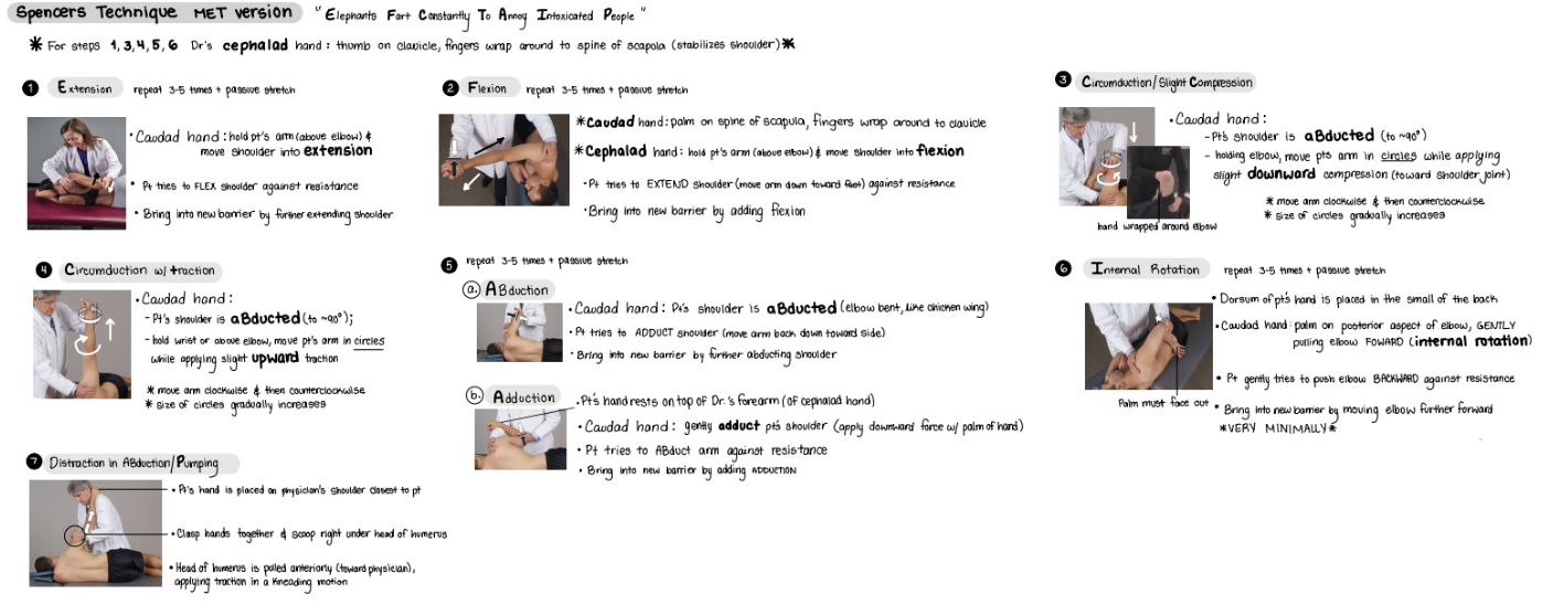 <p>elephants fart constantly to annoy intoxicated people</p><p><em><mark data-color="yellow" style="background-color: yellow; color: inherit;">note that the techniques are where you position the patient</mark></em></p><ul><li><p>extension</p></li><li><p>flexion</p></li><li><p>compression (circumduction)</p></li><li><p>traction (circumduction)</p></li><li><p>abduction/adduct</p></li><li><p>internal rotation</p></li><li><p>pumping</p></li></ul><p></p>