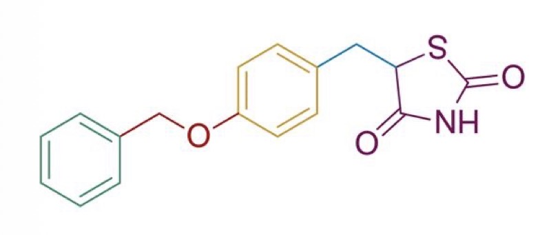<ul><li><p><mark data-color="purple" style="background-color: purple; color: inherit;">TZD acidic head</mark></p></li><li><p><mark data-color="green" style="background-color: green; color: inherit;">Lipophilic tail</mark></p></li><li><p><mark data-color="yellow" style="background-color: yellow; color: inherit;">Central phenyl ring</mark></p></li><li><p><span style="color: blue;"><mark data-color="red" style="background-color: red; color: inherit;">Two linker chains</mark></span></p></li></ul><p></p>