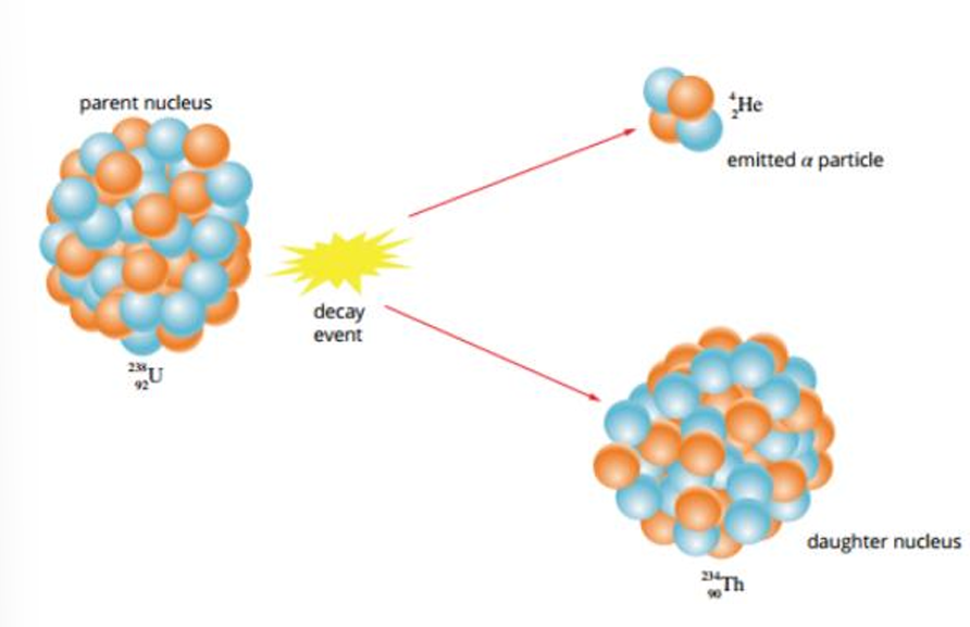 <ul><li><p>Occurs when the nucleus is too heavy to naturally be stable (every element above Bismuth)</p></li><li><p>The nucleus releases two protons and two neutrons at the same time - an Alpha Particle</p></li><li><p>An Alpha Particle is the same as a Helium-4 nucleus</p></li></ul><p></p>