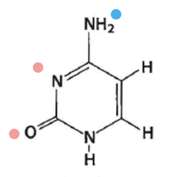 <p>what is this?</p>