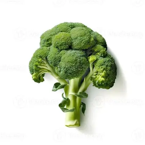 <p>Broccoli </p>