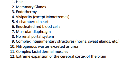 <p>mammal soft anatomy</p>