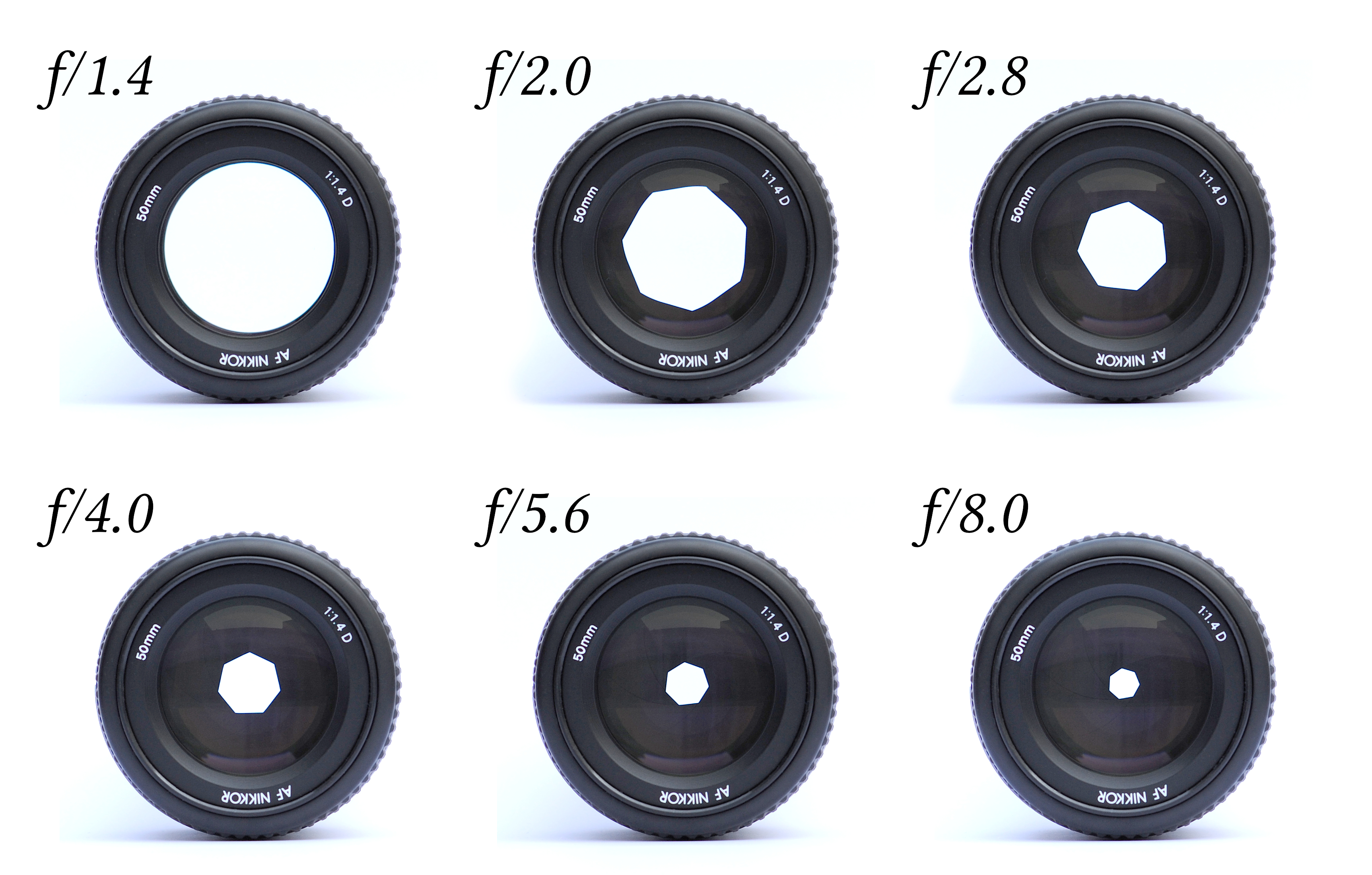 <p>The adjustable opening of the camera lens</p><ul><li><p>Measured in f-stops (ex. f/11)</p></li><li><p>Larger opening = more light entering, shallow depth of field (less in focus)</p></li><li><p>Smaller opening = less light entering, deeper depth of field (more in focus)</p></li></ul><p></p>