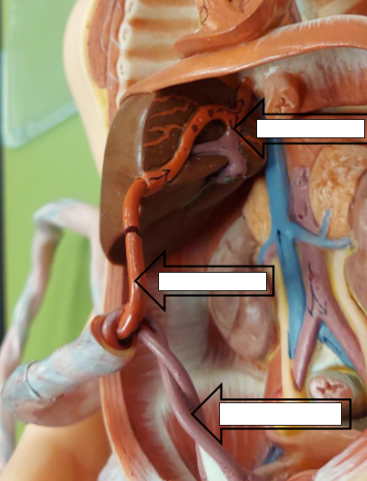 <p>Label this image.</p>