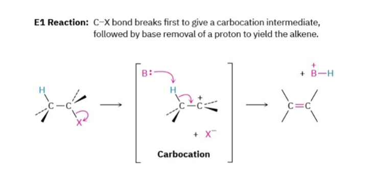 <p>Two step reaction:</p><ul><li><p>Step 1: Leaving group leaves, Carbocation forms</p></li><li><p>Step 2: Base removes H, double bond forms</p></li></ul><p>Rate = k [Alkyl Halide]</p><p>First order overall. Because the base only participates in the second (fast) step, adding more base or changing the base concentration will have <strong>zero effect</strong> on how fast the reaction goes.</p>