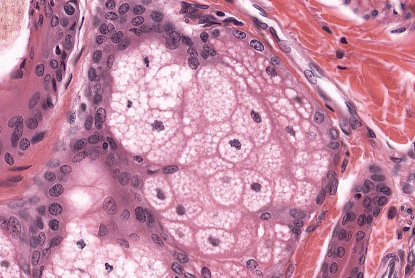 <p>Identify the Structure </p>