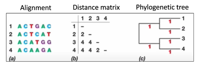 <p>How to identify bacteria?</p>