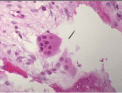 <p>What does this image show?</p>