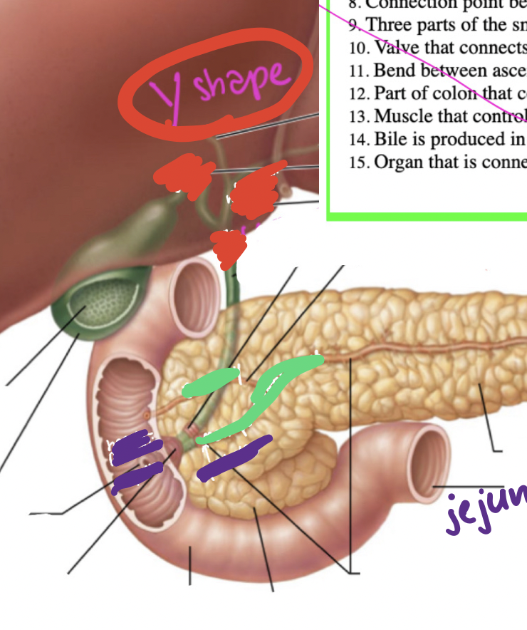 <p>ducts ID</p>